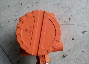 成都固定式氧气检测仪批发 精选高清细节图与专业选购指南